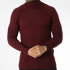 Acheter ✨ Pull Col Roulé T3873 Bordeaux de Classic Series ✔️