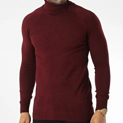 Acheter ✨ Pull Col Roulé T3873 Bordeaux de Classic Series ✔️ -HautStyle Boutique classic series 344533 T3873 BORDO 20221020T143538 03