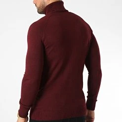 Acheter ✨ Pull Col Roulé T3873 Bordeaux de Classic Series ✔️ -HautStyle Boutique classic series 344533 T3873 BORDO 20221020T143539 04